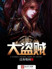 大盗贼封面